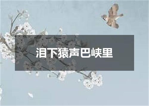泪下猿声巴峡里