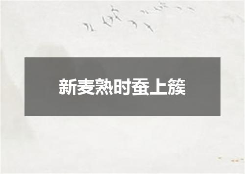 新麦熟时蚕上簇