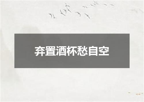 弃置酒杯愁自空
