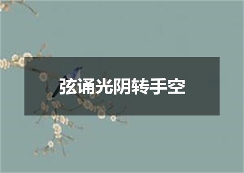 弦诵光阴转手空