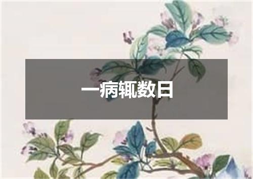 一病辄数日