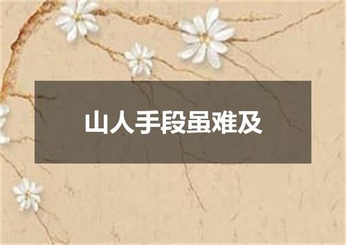 山人手段虽难及