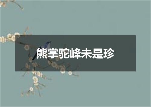 熊掌驼峰未是珍