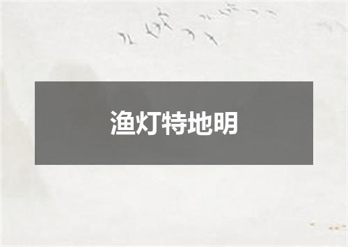 渔灯特地明