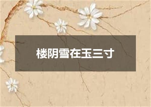 楼阴雪在玉三寸