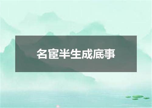 名宦半生成底事