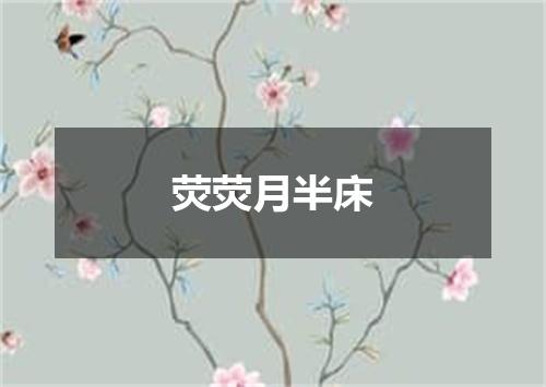 荧荧月半床