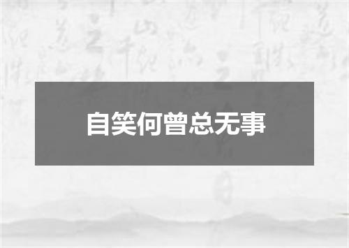 自笑何曾总无事
