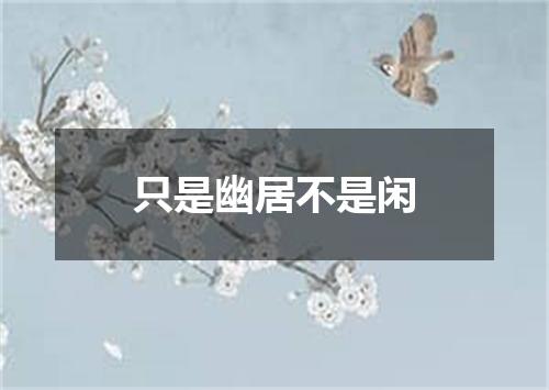 只是幽居不是闲