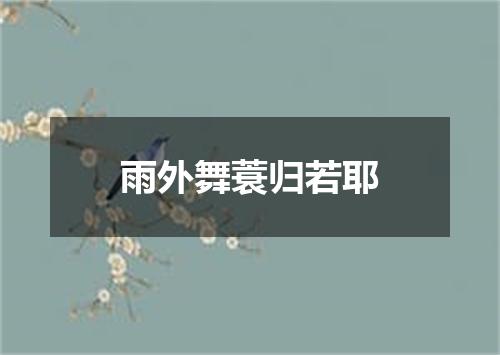 雨外舞蓑归若耶