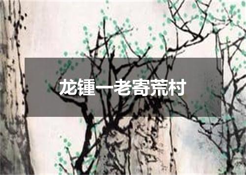 龙锺一老寄荒村