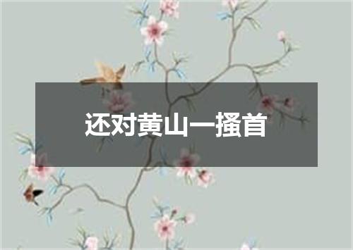 还对黄山一搔首