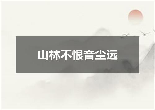 山林不恨音尘远