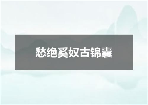 愁绝奚奴古锦囊