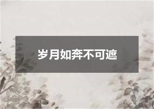 岁月如奔不可遮