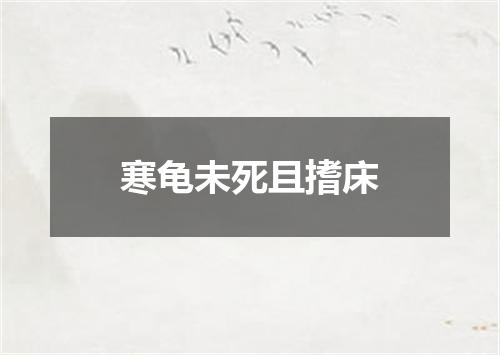寒龟未死且搘床
