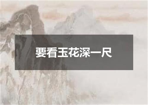 要看玉花深一尺