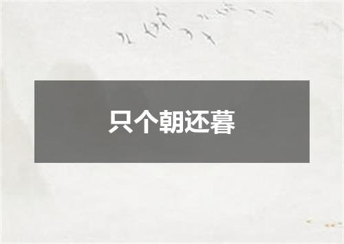 只个朝还暮