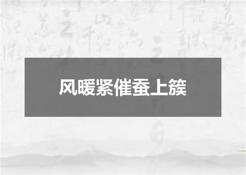 风暖紧催蚕上簇