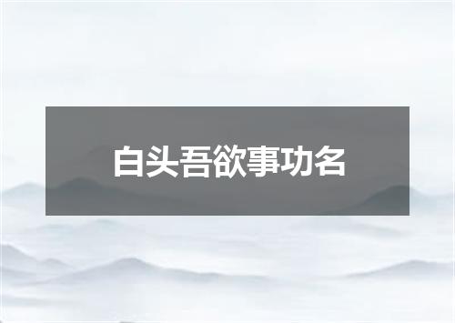 白头吾欲事功名