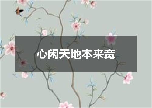 心闲天地本来宽