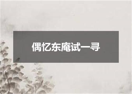 偶忆东庵试一寻