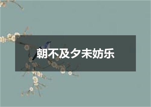 朝不及夕未妨乐
