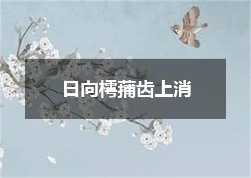 日向樗蒱齿上消