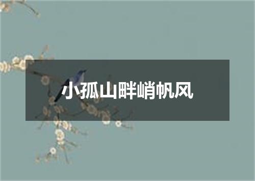 小孤山畔峭帆风