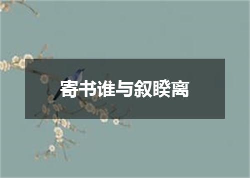 寄书谁与叙睽离