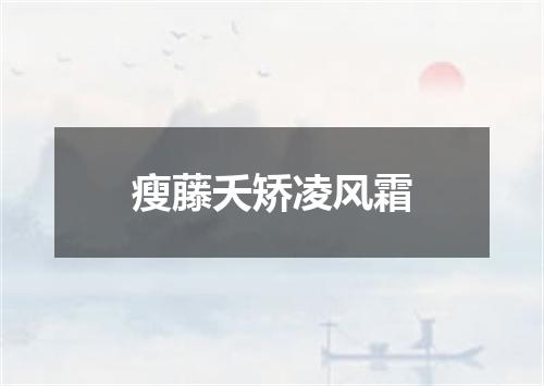 瘦藤夭矫凌风霜
