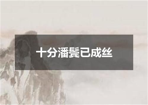 十分潘鬓已成丝