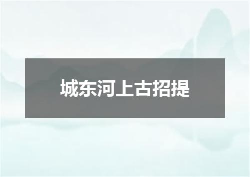 城东河上古招提