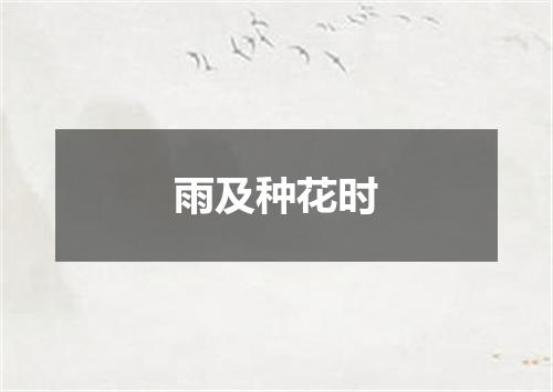 雨及种花时