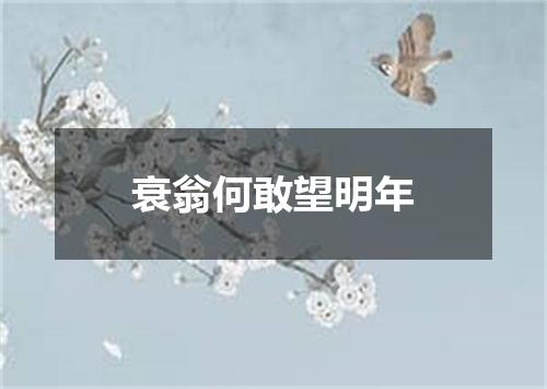 衰翁何敢望明年