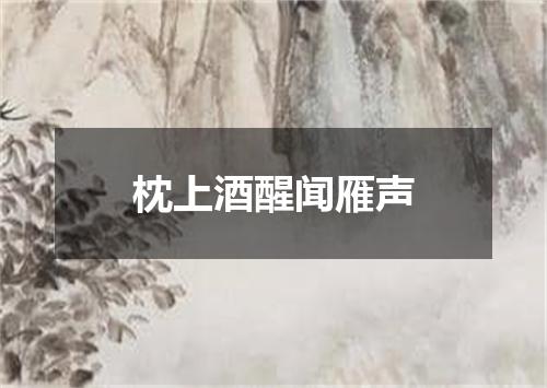 枕上酒醒闻雁声