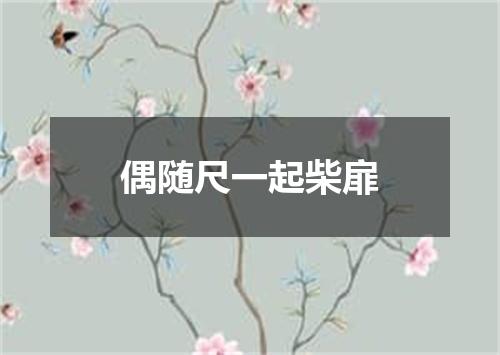 偶随尺一起柴扉