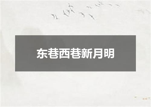 东巷西巷新月明