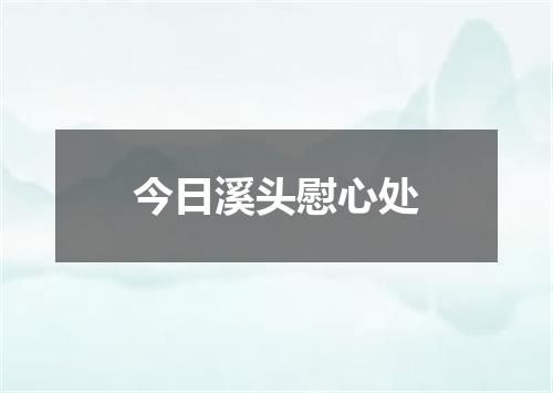 今日溪头慰心处