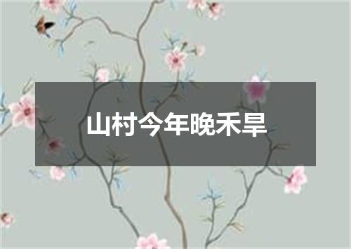 山村今年晚禾旱