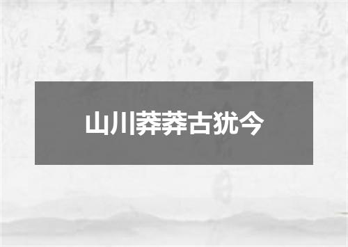 山川莽莽古犹今