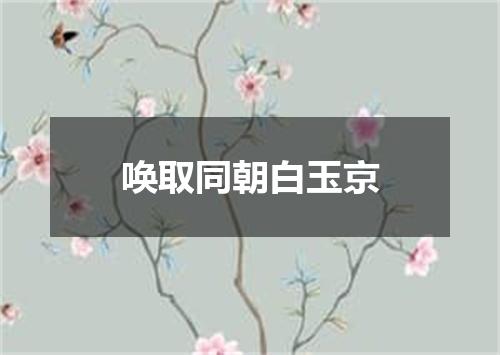 唤取同朝白玉京