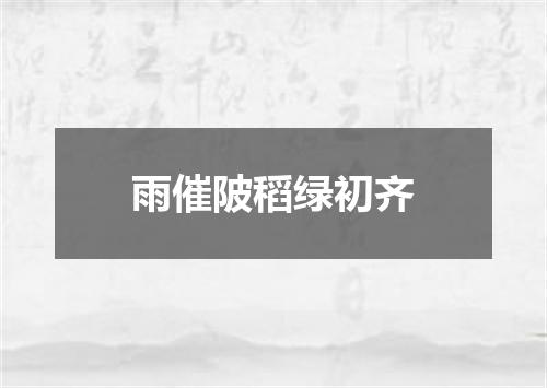 雨催陂稻绿初齐