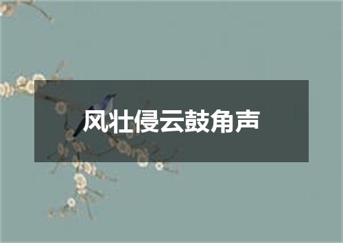 风壮侵云鼓角声