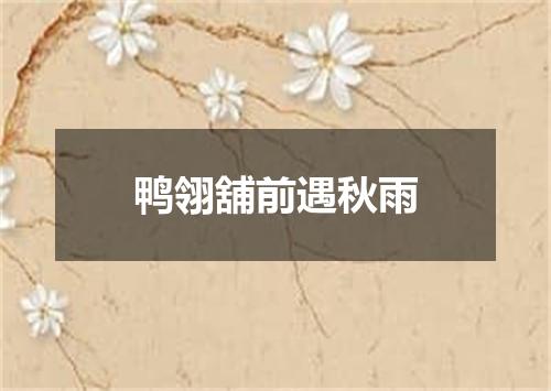 鸭翎舖前遇秋雨