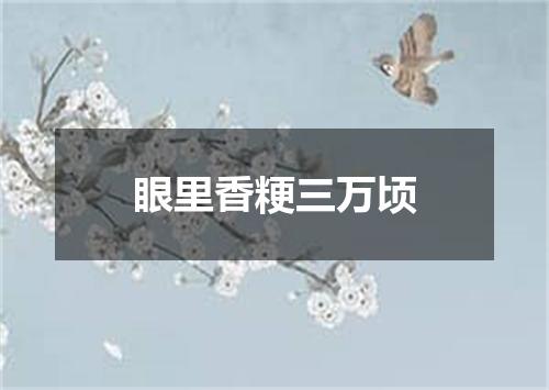 眼里香粳三万顷