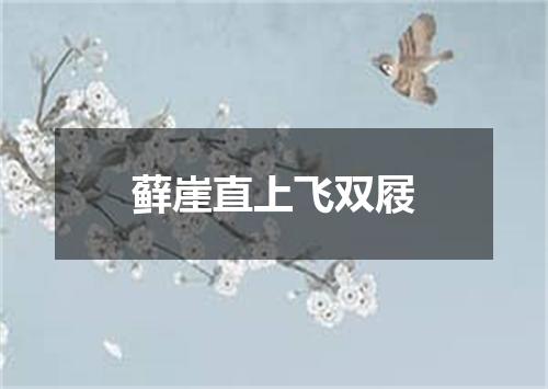 藓崖直上飞双屐