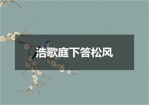 浩歌庭下答松风