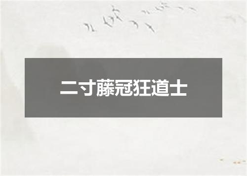 二寸藤冠狂道士