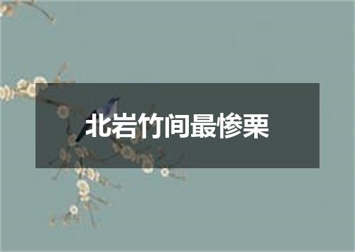 北岩竹间最惨栗